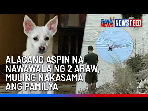 Alagang aspin na nawawala ng 2 araw, muling nakasama ang pamilya | GMA News Feed thumbnail