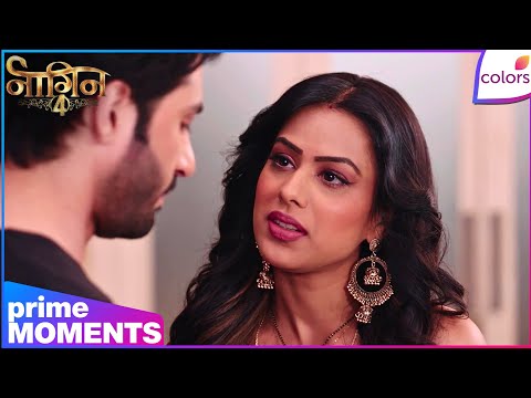 Naagin S4 | Highlights | Ep. 25 | The Hidden Scandal! Brinda Protects Lily’s Secret | Colors TV thumbnail