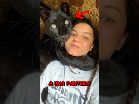No era un gato. 💀 thumbnail
