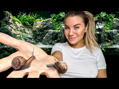 Sätter upp mitt första paludarium och får oväntat hemsläp thumbnail