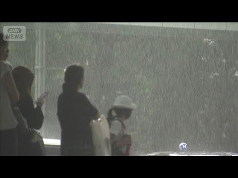 新防災気象情報　28日から開始　規模で違う「川」の情報に注意(2026年5月26日) thumbnail