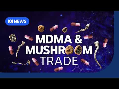 Inside the legal MDMA and psilocybin magic mushroom trade | The Business | ABC NEWS thumbnail