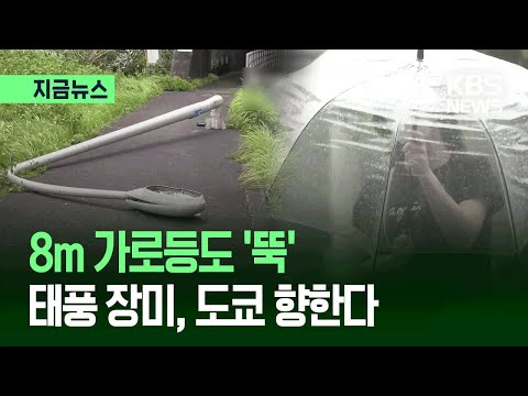[지금뉴스] 일본 태풍 ‘장미’ 영향…8m 가로등도 부러졌다 / KBS 2026.06.02. thumbnail