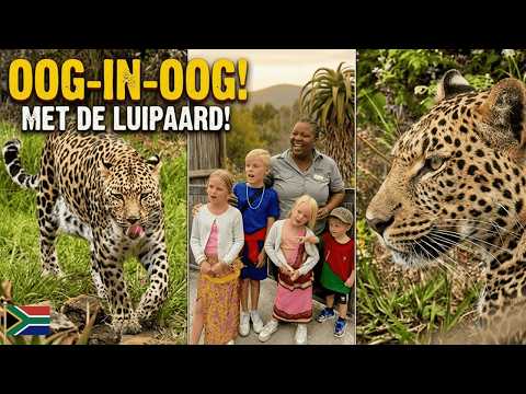 OOG IN OOG MET EEN LUIPAARD 😱🐆 | Wilde Dieren van Héél Dichtbij | Bellinga Vlog #3522 thumbnail