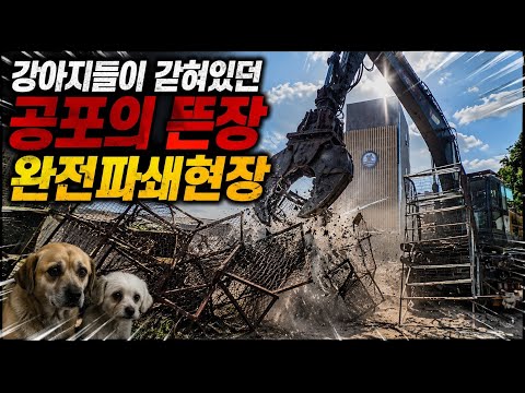 강아지들이 갇혀있던 공포의 뜬장 완전파쇄현장 #브라운입양카페 thumbnail
