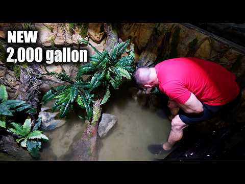 NEW 2,000G PIRANHA AQUARIUM! thumbnail