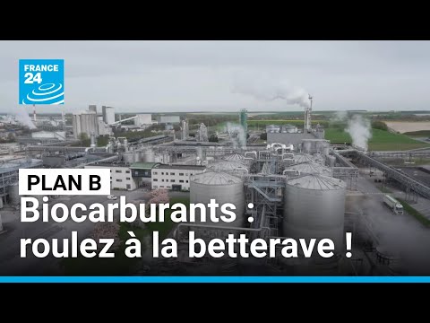 Biocarburants : roulez à la betterave ! • FRANCE 24 thumbnail