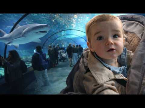 DE MOOISTE DIERENTUIN VAN NEDERLAND! DIT IS GAAF! thumbnail