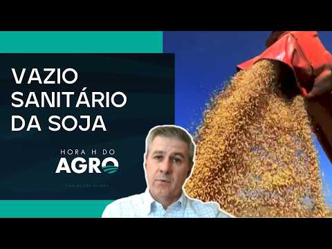 Especialista explica como o vazio sanitário protege a lavoura contra pragas | HORA H DO AGRO thumbnail