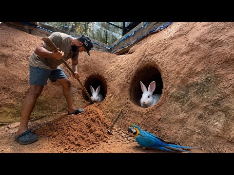 മുയലിന് പുതിയ കൂട് ഉണ്ടാക്കി കൊടുത്തു!! | Rabbit hole in Backyard aviary | Fishing Freaks thumbnail