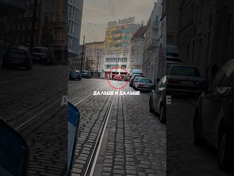 Прода в ТГ - pawNEpaw thumbnail