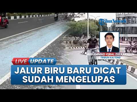 Soroti Cat Mengelupas, Warga Kritik Proyek Jalur Biru di Kota Palangka Raya: Anggaran Ratusan Juta thumbnail