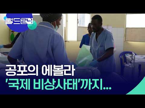 늑장 대응에 에볼라 확산…WHO, 국제 비상사태 선포 [월드24/월드이슈] / KBS  2026.05.18. thumbnail