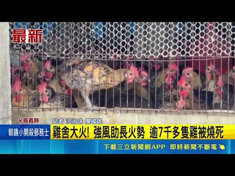雞舍大火! 強風助長火勢 逾7千多隻雞被燒死｜三立新聞網 SETN.com thumbnail