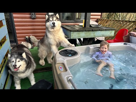 We Took Our Dogs On Holiday! Come On Vacation Vlog!! thumbnail