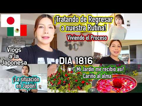 ¡De vuelta en JAPÓN CON LA FAMILIA! + Tratando de Regresar a la Rutina 🤍 - Ruthi San ♡ 19 -05-26 thumbnail