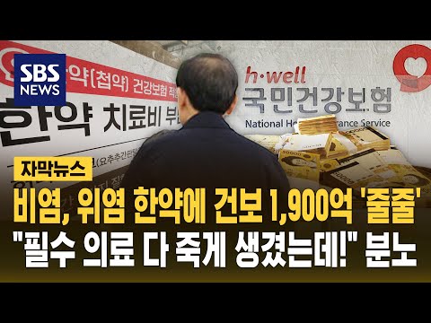 비염, 위염 한약에 건보 1,900억 '줄줄'.."필수의료 다 죽게 생겼는데!" 분노 (자막뉴스) / SBS thumbnail