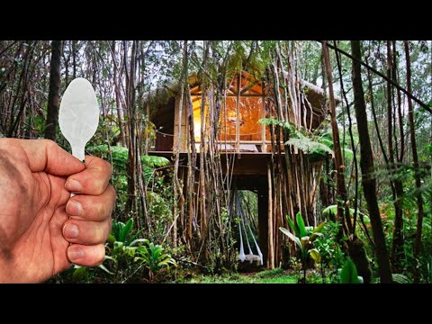 i survived 24 hours in the jungle alone USING ONLY.. thumbnail
