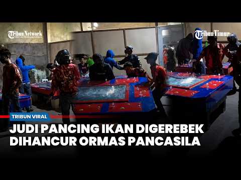 Ormas Pemuda Pancasila Ngamuk, Judi Tembak Ikan Digerebek dan Dihancur di Hari Lahir Pancasila thumbnail