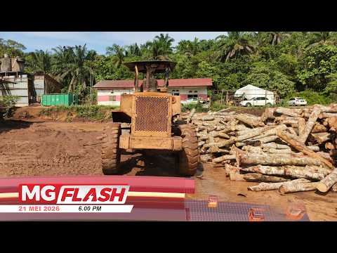RM4.3 Juta Nilai Rampasan, Serbuan Premis Kayu Balak Haram #MGFlash thumbnail