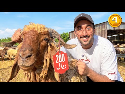 من 0.01$ الى كأس العالم أمريكا ! اليوم #4 thumbnail