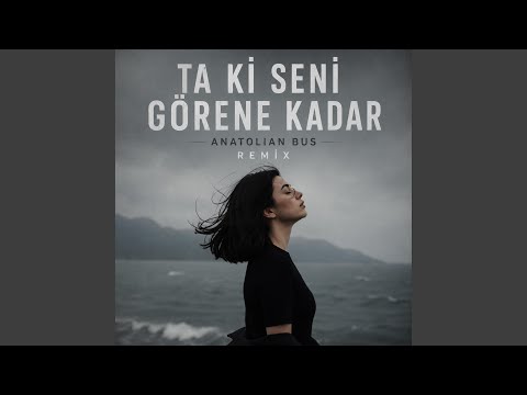 Ta ki seni görene kadar - anatolian bus (Remix) thumbnail