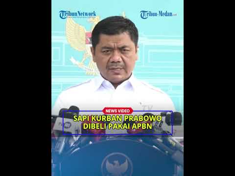 1098 Sapi Kurban Prabowo Dibeli Pakai APBN thumbnail