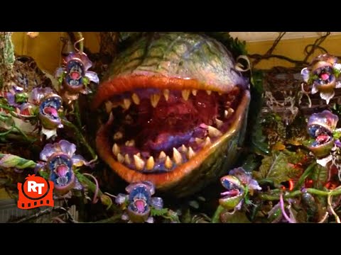 Little Shop of Horrors (1986) - Mean Green Mother From Outer Space (8/8) | Movieclips thumbnail