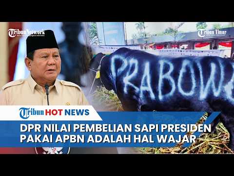 Menteri Keuangan Purbaya Yudhi Sadewa Tanggapi Isu Pembelian Sapi Kurban Presiden Pakai APBN thumbnail