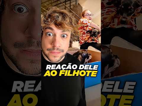 a batalha espiritual @prof_eliana.ana.56614 #livedobrino #humor #MundinhoBrino thumbnail