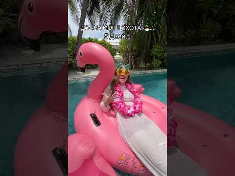 до «НА МОРЯ ОХОТА » одна минута….🌴🏝️ thumbnail