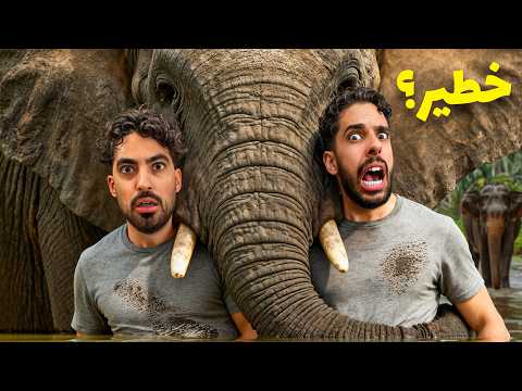 رحنا جزيرة الفيلة في تايلاند 🐘 thumbnail