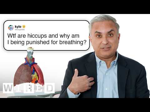 Doctor Answers Lung Questions | Tech Support | WIRED thumbnail