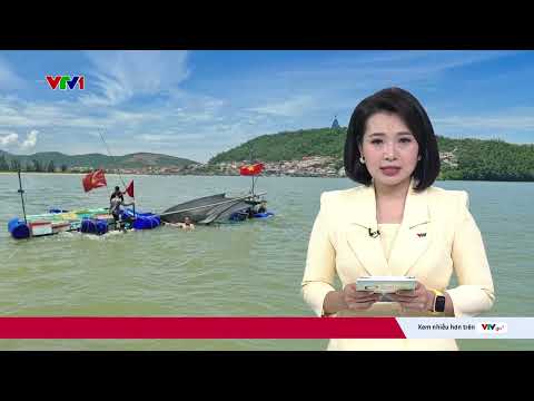 Khởi tố Trạm trưởng Trạm Kiểm lâm Vũng Tàu tội môi giới hối lộ | Cụm tin | VTV24 thumbnail
