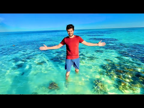 Inside the Great Barrier Reef of Australia! thumbnail