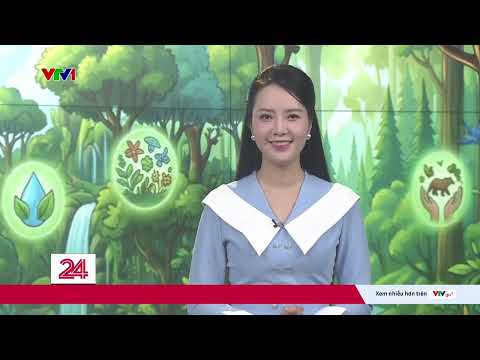 Chuyển động 24h ngày 21/5: Chuyển đổi xanh và bài toán nguồn nhân lực của tương lai | VTV24 thumbnail