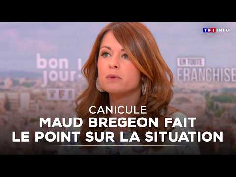 Canicule : "7 décès liés directement ou indirectement à la chaleur", annonce Maud Bregeon｜TF1 INFO thumbnail
