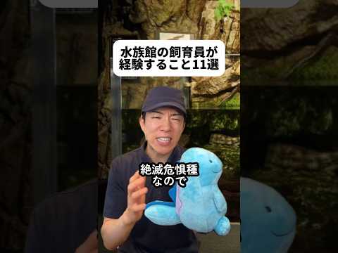 水族館調べてたら面白そうなとこいっぱいあるんだね?オオサンショウウオかわいいよね?ネコちゃんに懐かれる特典もうらやましいな??️ヌオーちゃんはオフ会でいただきました?#水族館 #飼育員さん thumbnail