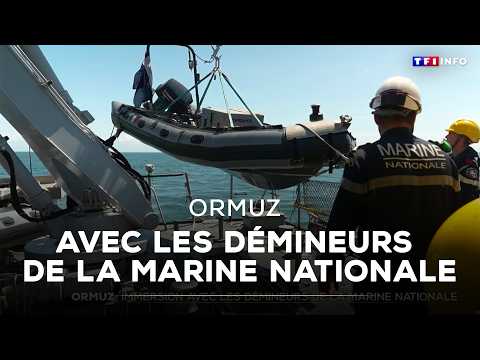 Immersion avec les démineurs de la marine nationale｜TF1 INFO thumbnail