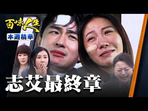 本週精華一次看｜志捷逃亡中彈青艾不離不棄！跨越生死約定下輩子再續前緣！｜#百味人生 EP188-192｜三立台劇 thumbnail