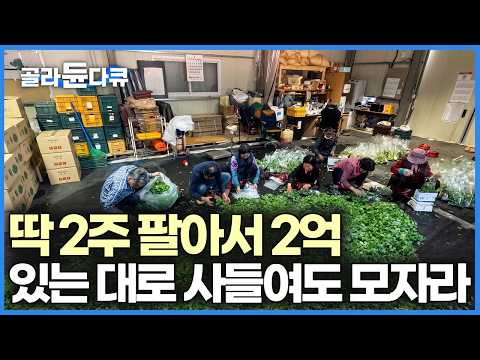 50년 전통 드디어 입소문 났다, 쏟아지는 주문에 온 가족이 달려들어 만들어내는 떡 정체 | 극한직업 | #골라듄다큐 thumbnail