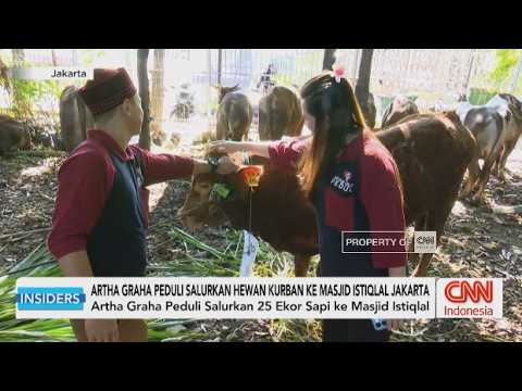 Artha Graha Peduli Salurkan Hewan Kurban ke Masjid Istiqlal Jakarta - Insiders thumbnail