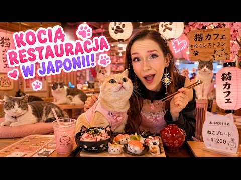 KOCIA WIOSKA W JAPONII!!🐱 thumbnail