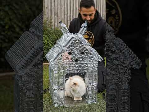 ✅ We Built a Warm Cat Shelter From Plastic Bottles ?♻️ thumbnail