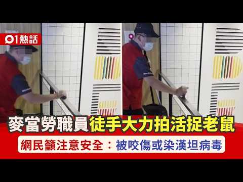 【01熱話】活捉老鼠！台灣麥當勞職員徒手大力拍　食客驚呼　網民憂咬傷染病｜01熱話｜老鼠｜麥當勞｜台灣 thumbnail