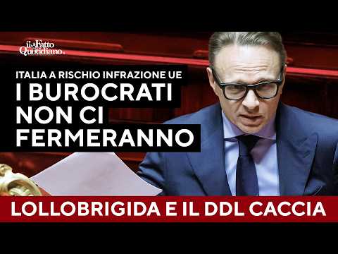 Ddl caccia, per l'Ue Italia a rischio infrazione. Ma Lollobrigida: "I burocrati non ci fermeranno" thumbnail