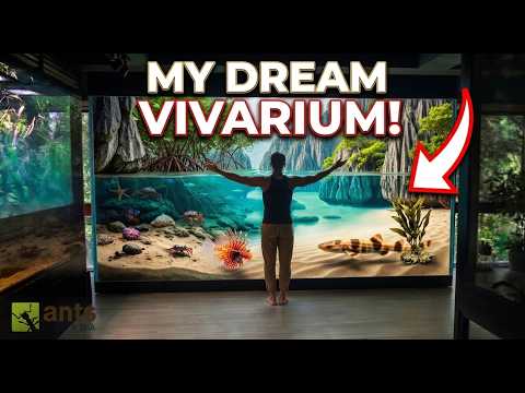 I'm Building My Next Dream Vivarium | 100th Episode Special thumbnail