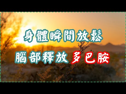 身體瞬間放鬆 輕音樂 腦部釋放多巴胺 入眠、放鬆、舒緩、休息【1小時】 Relaxing Music, Soothing Music thumbnail