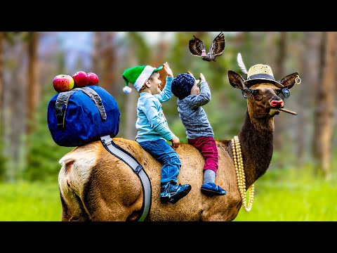 Photoshop Generative Fill Ai Is Taking Over... thumbnail