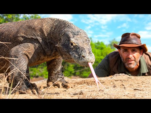 Coyote Peterson vs. Komodo Dragon: Dangerous Face-Off! thumbnail